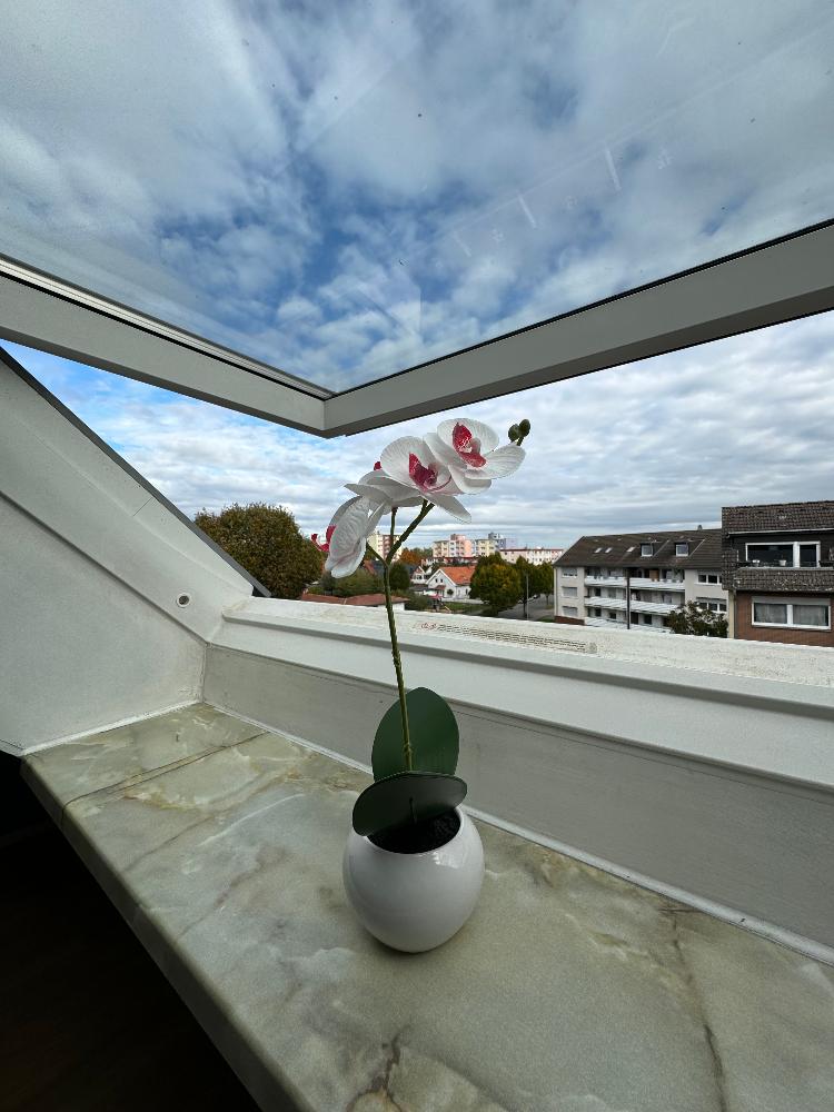 Blume am Schlafzimmerfenster